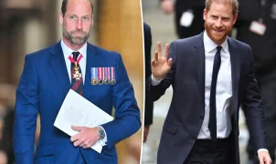 Príncipe Harry planeja filme sobre Diana no Reino Unido e irrita William, diz reportagem
