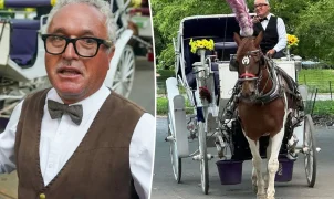 Donos de cavalo de carruagem morto no Central Park preparam ação contra a cidade de Nova York
