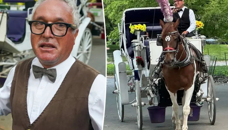Donos de cavalo de carruagem morto no Central Park preparam ação contra a cidade de Nova York
