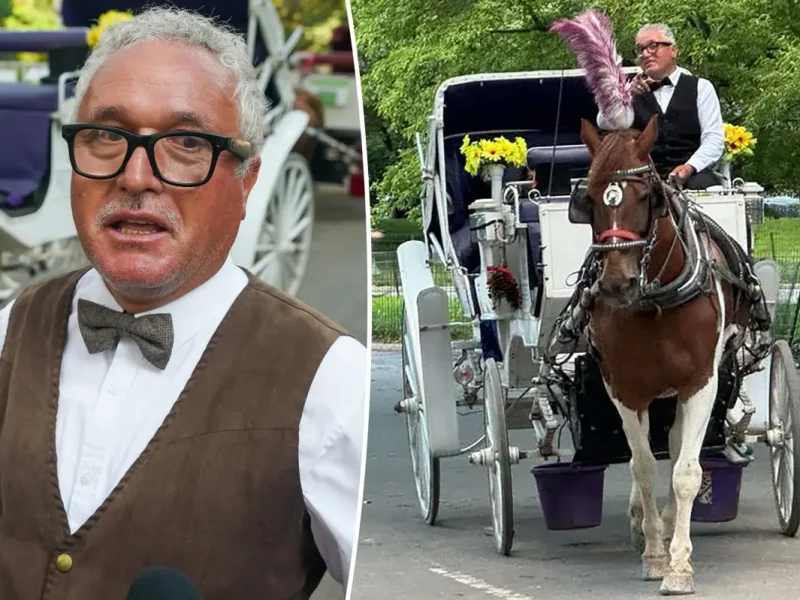 Donos de cavalo de carruagem morto no Central Park preparam ação contra a cidade de Nova York