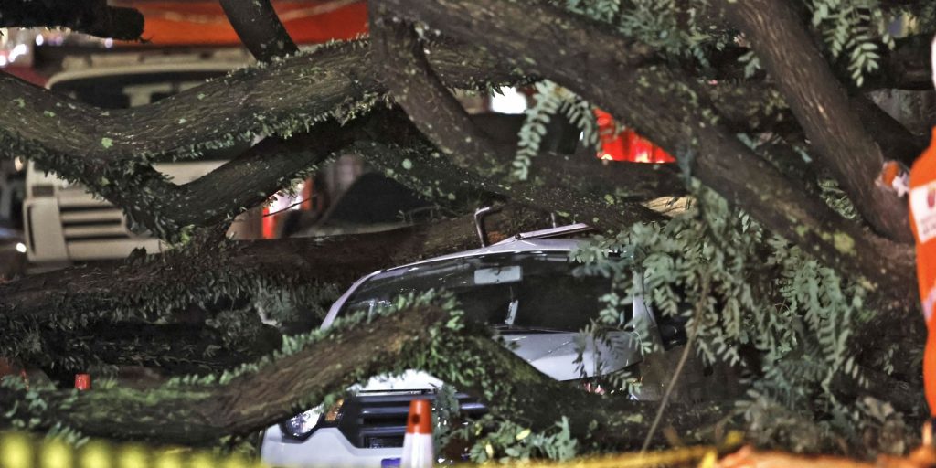 Temporal em SP: Defesa Civil emite mais de 50 alertas e desabamento deixa 24 feridos
