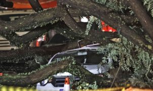 Temporal em SP: Defesa Civil emite mais de 50 alertas e desabamento deixa 24 feridos