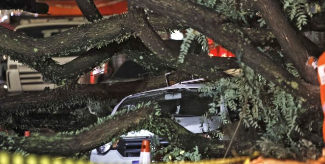Temporal em SP: Defesa Civil emite mais de 50 alertas e desabamento deixa 24 feridos