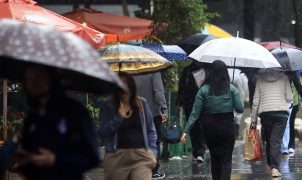 Defesa Civil alerta para temporais severos em SP entre sexta e sábado