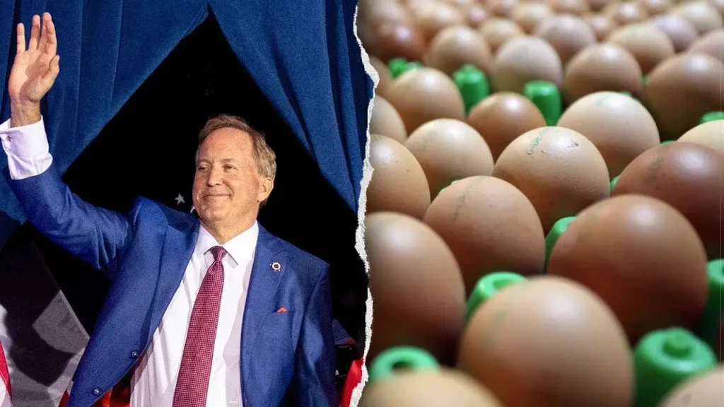 Texas distribui 7 milhões de ovos gratuitos a bancos de alimentos após acordo antitruste