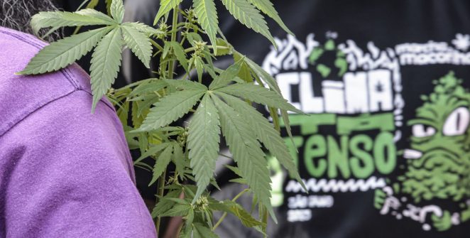 CNJ aponta que flagrantes por drogas viram prisão preventiva em 60% dos casos