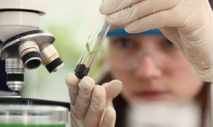 Prêmio Carolina Bori Ciência & Mulheres abre inscrições para estudantes até 30 de outubro