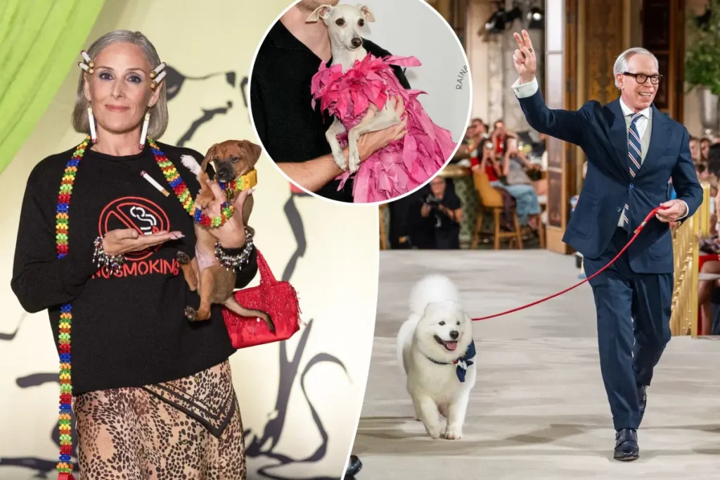 Cães viram protagonistas da New York Fashion Week com desfiles e acessórios de luxo
