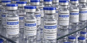 Anvisa autoriza início de testes em humanos da polilaminina para lesão medular