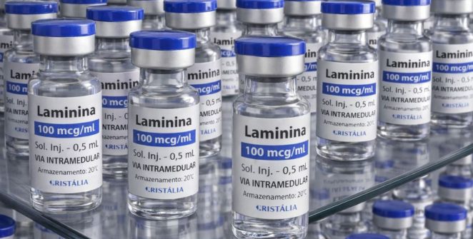 Anvisa autoriza início de testes em humanos da polilaminina para lesão medular