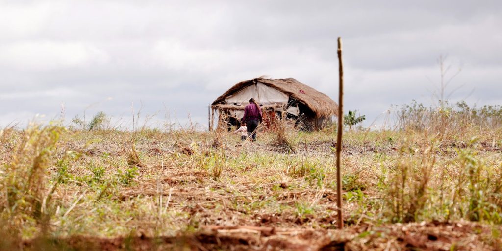 Conflitos no campo crescem 5% no primeiro semestre, mas assassinatos caem de 27 para 6