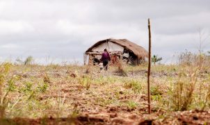 Conflitos no campo crescem 5% no primeiro semestre, mas assassinatos caem de 27 para 6