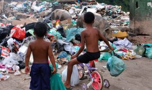 Senado aprova projeto que garante prioridade absoluta a crianças no acesso a meio ambiente saudável