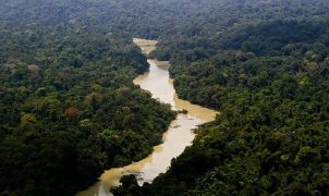 Na Semana da Amazônia, gestora de nove unidades de conservação no AM relata desafios e ameaças no trabalho de campo