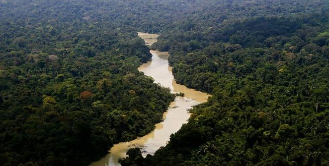 Na Semana da Amazônia, gestora de nove unidades de conservação no AM relata desafios e ameaças no trabalho de campo