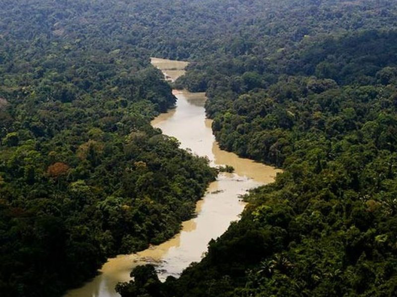 Na Semana da Amazônia, gestora de nove unidades de conservação no AM relata desafios e ameaças no trabalho de campo