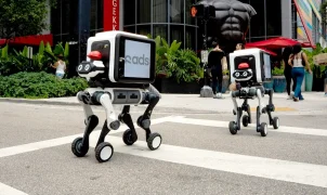 Robot.com's R-dog legged robot climbs stairs for package delivery