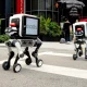 Robot.com's R-dog legged robot climbs stairs for package delivery