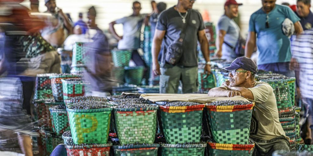 El Niño intensifica calor na Amazônia e Justiça do Trabalho orienta adaptação