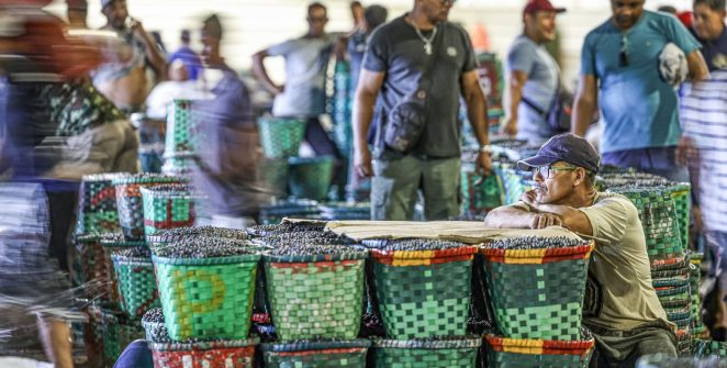 El Niño intensifica calor na Amazônia e Justiça do Trabalho orienta adaptação
