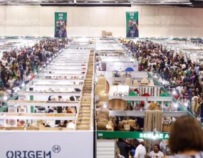 Lei do Prospera MEI perdoa dívidas e eleva teto de faturamento a R$ 140 mil até 2028