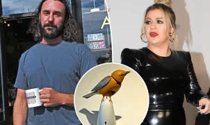 Dono de loja no Brooklyn relata interação absurda com Kelly Clarkson por pássaro mecânico