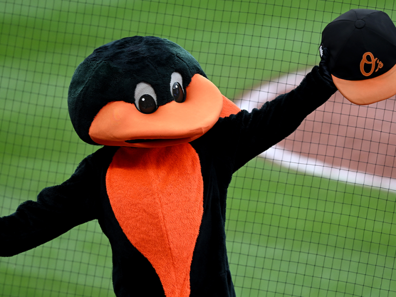 New report claims that Orioles latest round of layoffs was so brutal not even the mascot was safe