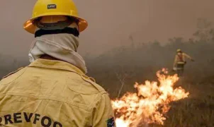 Amazonas decreta emergência em 36 municípios e recebe 11 aeronaves para combater queimadas