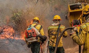 Amazonas registra 1.380 focos de incêndio em outubro e recebe reforço aéreo da FAB