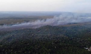Prefeitura de Santarém informa controle de incêndio na APA Alter do Chão