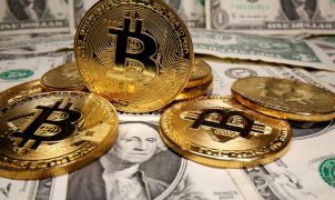 Site oferece criptomoedas em troca de posts pró-Flávio Bolsonaro; campanha nega vínculo