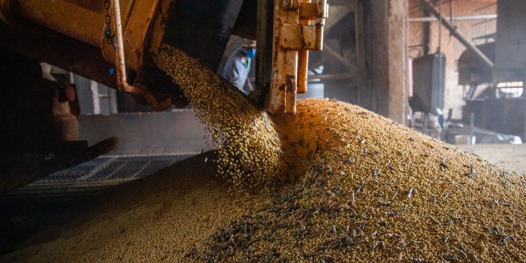 Conab projeta safra recorde de grãos em 2026/2027, mas El Niño ameaça arroz e trigo