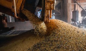 Conab projeta safra recorde de grãos em 2026/2027, mas El Niño ameaça arroz e trigo