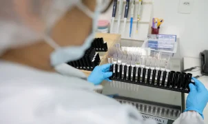 Anvisa libera primeira fase de testes em humanos da Vivaxin, vacina brasileira contra malária vivax
