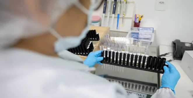 Anvisa libera primeira fase de testes em humanos da Vivaxin, vacina brasileira contra malária vivax