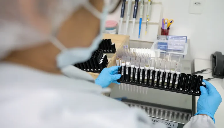 Anvisa libera primeira fase de testes em humanos da Vivaxin, vacina brasileira contra malária vivax