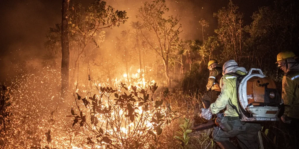 Amazonas: Ibama extingue 229 incêndios e mantém combate a 20 focos ativos