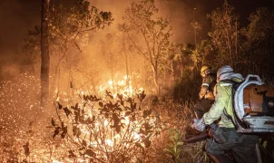 Amazonas: Ibama extingue 229 incêndios e mantém combate a 20 focos ativos