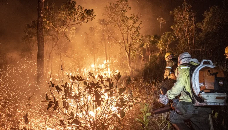Amazonas: Ibama extingue 229 incêndios e mantém combate a 20 focos ativos