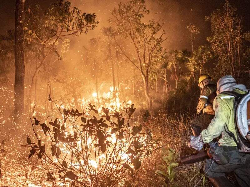 Amazonas: Ibama extingue 229 incêndios e mantém combate a 20 focos ativos