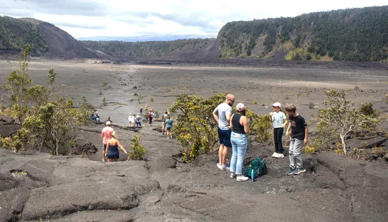 Missing senior hiker is located in Hawaii Volcanoes Park after K-9 rescue