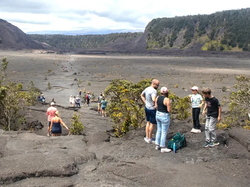 Missing senior hiker is located in Hawaii Volcanoes Park after K-9 rescue