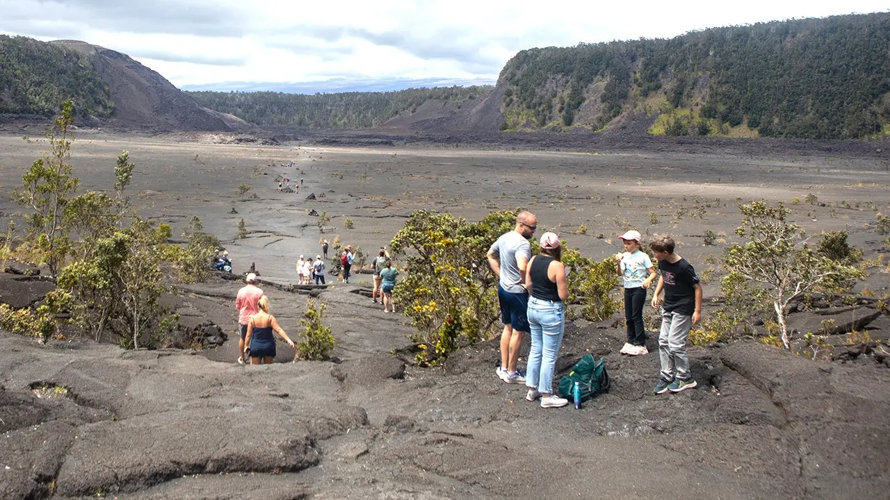 Missing senior hiker is located in Hawaii Volcanoes Park after K-9 rescue
