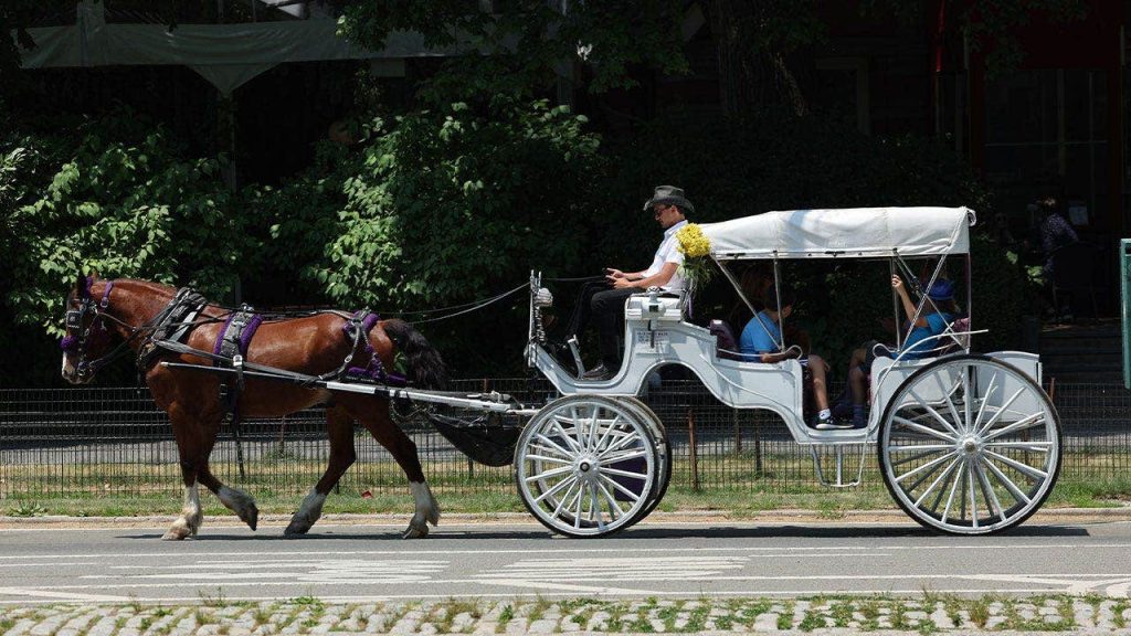 Nova York planeja proibir charretes no Central Park até 2028