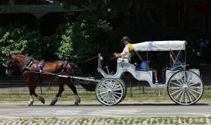 Mamdani, NYC leaders agree to ban Central Park horse-drawn carriages by 2028