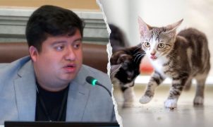 Minneapolis council member mocked for saying Waymo is killing cats