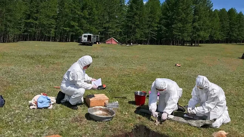 Morte de funcionária de instituto de peste na Sibéria leva Rússia a isolar hospital e monitorar quase 200 contatos