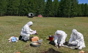 Pneumonic plague fears rise after Siberia lab worker's mysterious death
