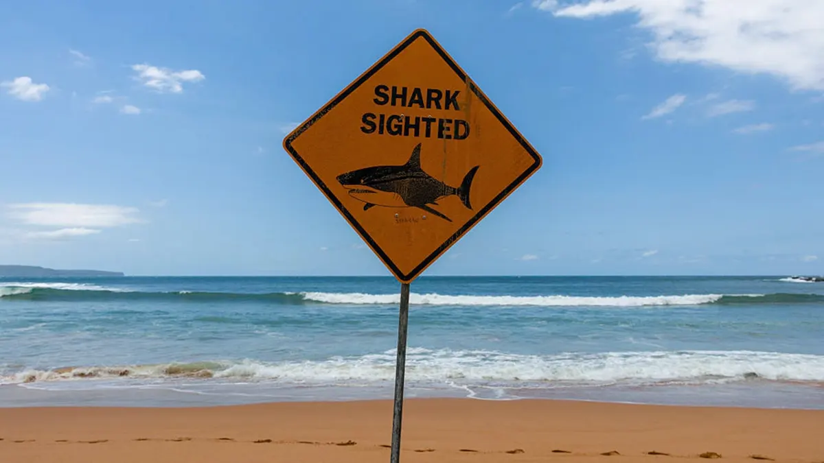 Palm Beach closed as beaches in Sydney