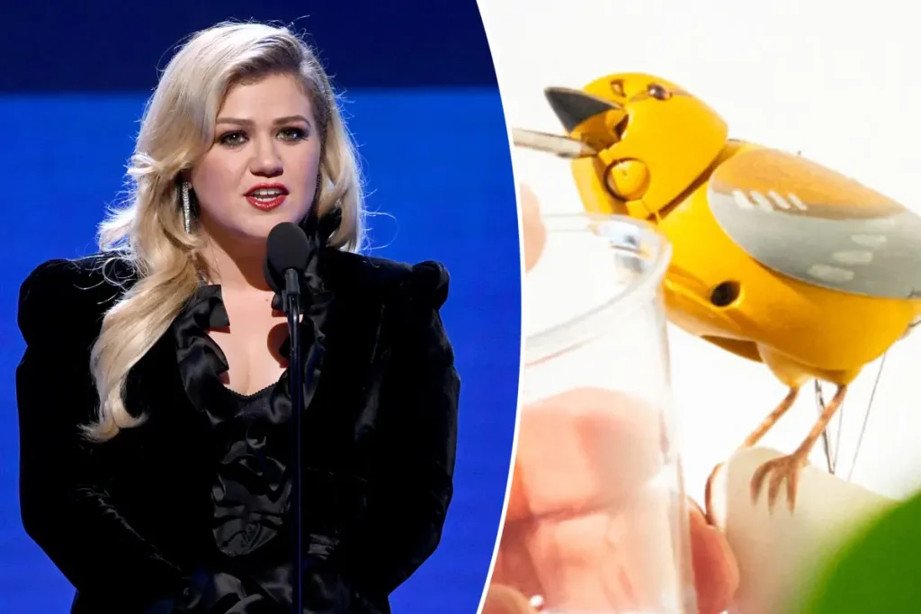Loja do Brooklyn rebate crítica de Kelly Clarkson e fala em mal-entendido